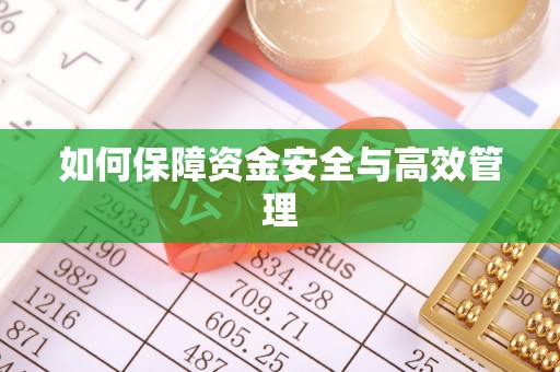 芜湖如何保障资金安全与高效管理