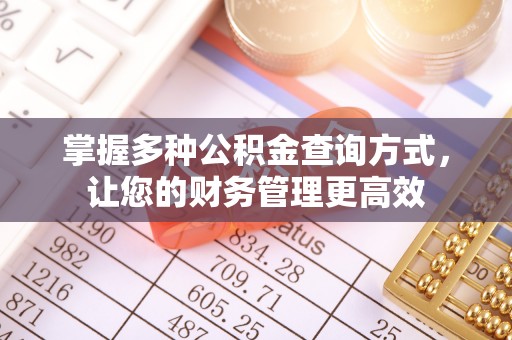 芜湖掌握多种公积金查询方式，让您的财务管理更高效