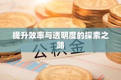 芜湖提升效率与透明度的探索之路