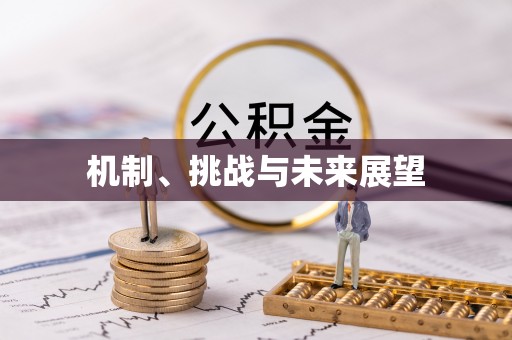 芜湖机制、挑战与未来展望
