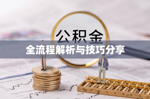 芜湖全流程解析与技巧分享